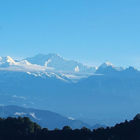 Veronica Alpina Mountain View Home ダージリン エクステリア 写真